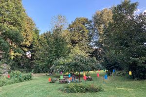 BnB Bettwil Fest 7.jpeg